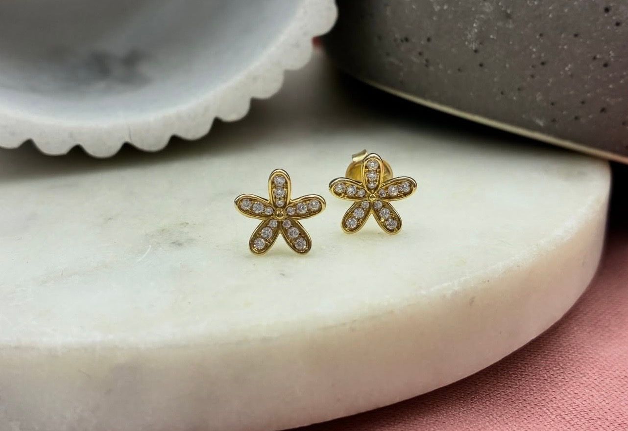 Aretes de Oro laminado